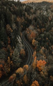 Preview wallpaper road, aerial view, forest, autumn, movement