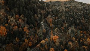 Preview wallpaper road, aerial view, forest, autumn, movement
