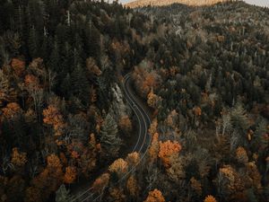 Preview wallpaper road, aerial view, forest, autumn, movement