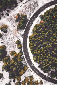 Preview wallpaper road, aerial view, forest, snowy