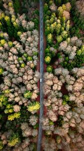 Preview wallpaper road, aerial view, forest, marking