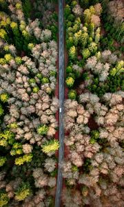 Preview wallpaper road, aerial view, forest, marking