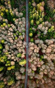 Preview wallpaper road, aerial view, forest, marking