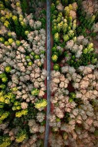 Preview wallpaper road, aerial view, forest, marking