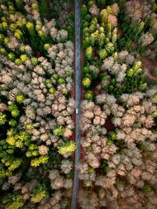 Preview wallpaper road, aerial view, forest, marking