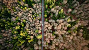 Preview wallpaper road, aerial view, forest, marking