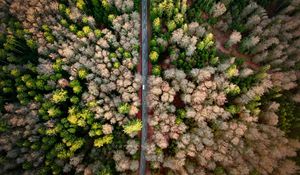 Preview wallpaper road, aerial view, forest, marking