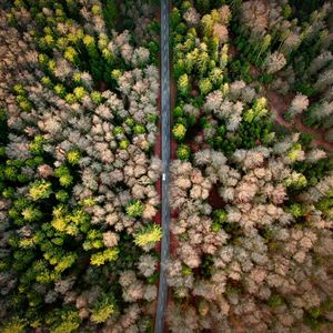 Preview wallpaper road, aerial view, forest, marking