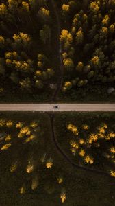 Preview wallpaper road, aerial view, forest, car, trees