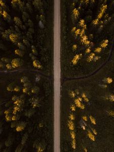 Preview wallpaper road, aerial view, spruce, forest, trees