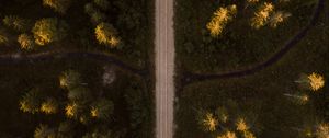 Preview wallpaper road, aerial view, spruce, forest, trees