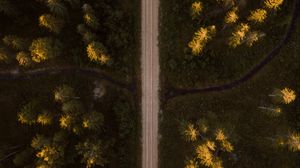 Preview wallpaper road, aerial view, spruce, forest, trees