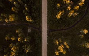 Preview wallpaper road, aerial view, spruce, forest, trees