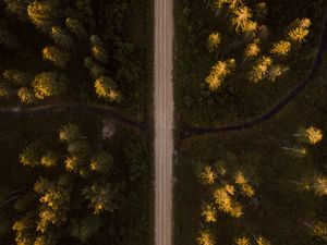 Preview wallpaper road, aerial view, spruce, forest, trees