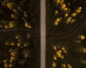 Preview wallpaper road, aerial view, spruce, forest, trees