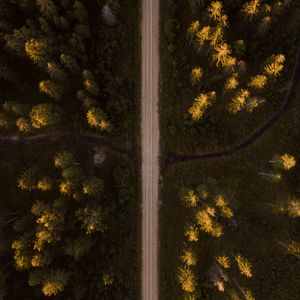 Preview wallpaper road, aerial view, spruce, forest, trees