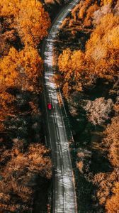 Preview wallpaper road, aerial view, trees, autumn, yellow