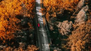 Preview wallpaper road, aerial view, trees, autumn, yellow