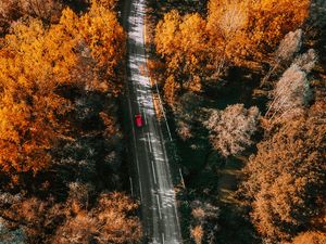 Preview wallpaper road, aerial view, trees, autumn, yellow