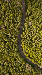 Preview wallpaper road, aerial view, trees, forest, winding