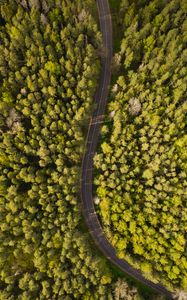 Preview wallpaper road, aerial view, trees, forest, winding