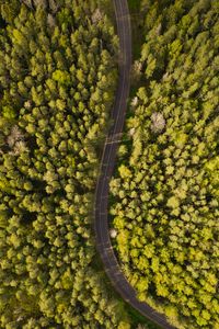 Preview wallpaper road, aerial view, trees, forest, winding