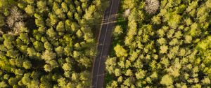 Preview wallpaper road, aerial view, trees, forest, winding