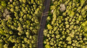 Preview wallpaper road, aerial view, trees, forest, winding