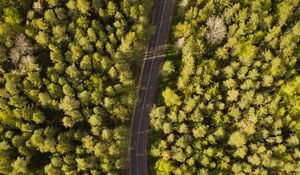 Preview wallpaper road, aerial view, trees, forest, winding