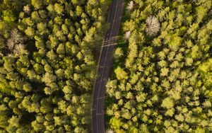 Preview wallpaper road, aerial view, trees, forest, winding