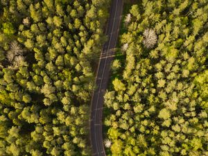 Preview wallpaper road, aerial view, trees, forest, winding