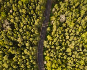 Preview wallpaper road, aerial view, trees, forest, winding