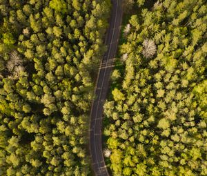 Preview wallpaper road, aerial view, trees, forest, winding