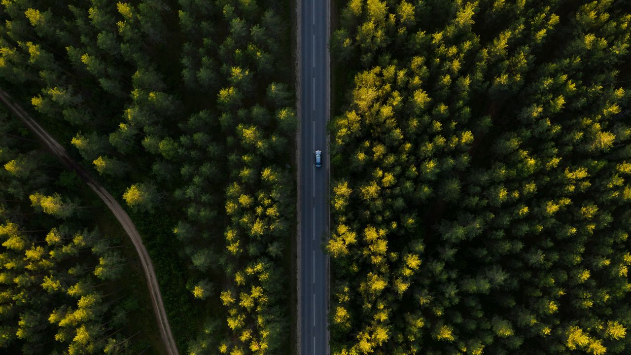 Wallpaper road, aerial view, trees, car