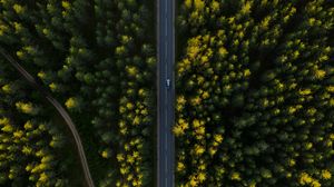 Preview wallpaper road, aerial view, trees, car
