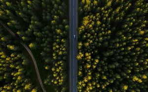 Preview wallpaper road, aerial view, trees, car