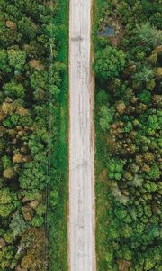 Preview wallpaper road, aerial view, trees, forest, wires