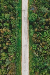 Preview wallpaper road, aerial view, trees, forest, wires