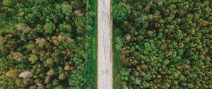 Preview wallpaper road, aerial view, trees, forest, wires