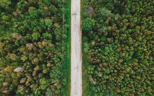 Preview wallpaper road, aerial view, trees, forest, wires