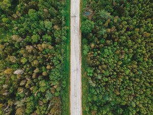 Preview wallpaper road, aerial view, trees, forest, wires