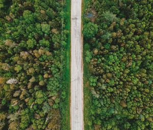 Preview wallpaper road, aerial view, trees, forest, wires