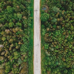 Preview wallpaper road, aerial view, trees, forest, wires