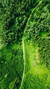 Preview wallpaper road, aerial view, trees, forest, spruce