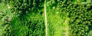 Preview wallpaper road, aerial view, trees, forest, spruce