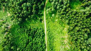 Preview wallpaper road, aerial view, trees, forest, spruce