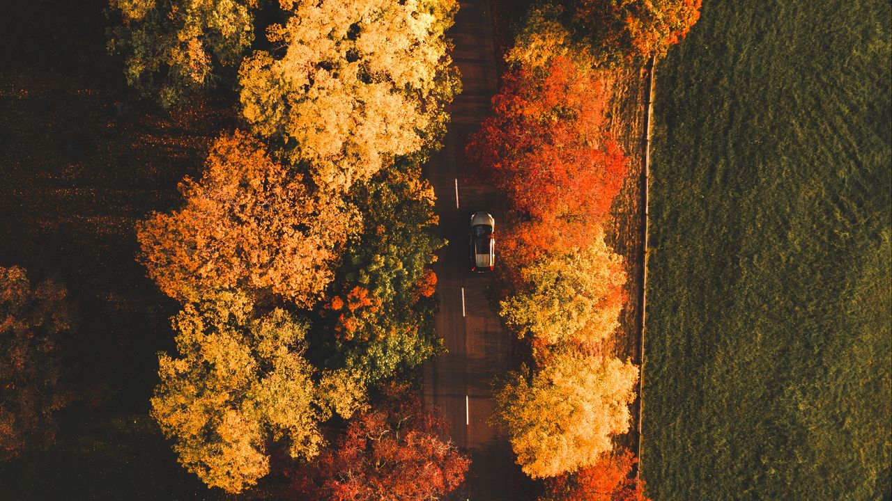 Wallpaper road, aerial view, trees, autumn, car