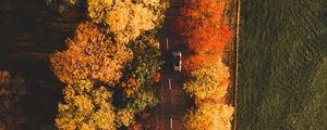 Preview wallpaper road, aerial view, trees, autumn, car
