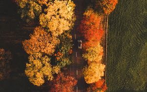 Preview wallpaper road, aerial view, trees, autumn, car