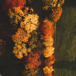 Preview wallpaper road, aerial view, trees, autumn, car